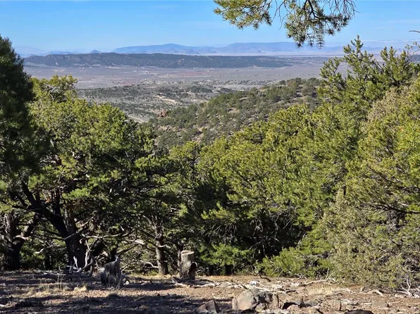 Lot 4510 Iannelli Road, Fort Garland, CO 81133