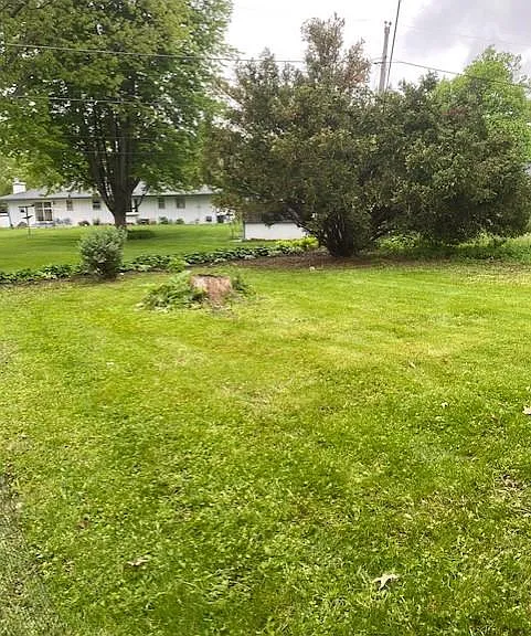 1207 Eastview Rd — Photo 49
