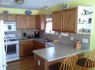 534 Saddlevalley Ct, Linden, MI