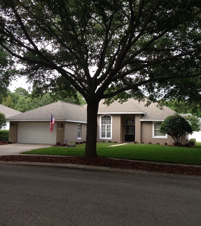Old majestic oaks streetline
