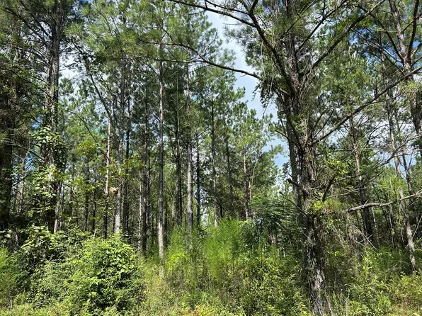 0 Davenport Rd, Laurel, MS 39443