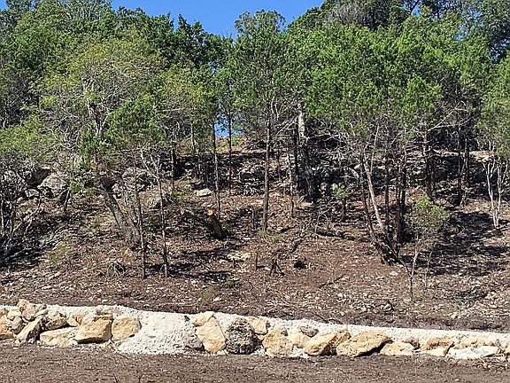 4th image of 469 Prairie Tea Ln