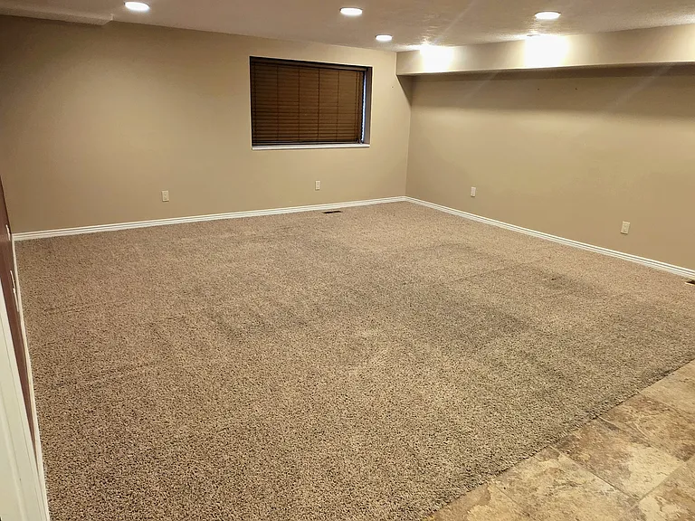 13232 S Bear Hollow Dr #BASEMENT — Photo 3