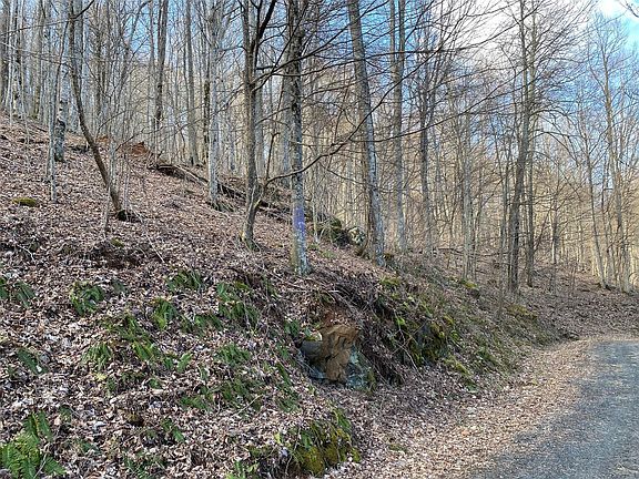 3rd image of LOT III Bear Springs Rd