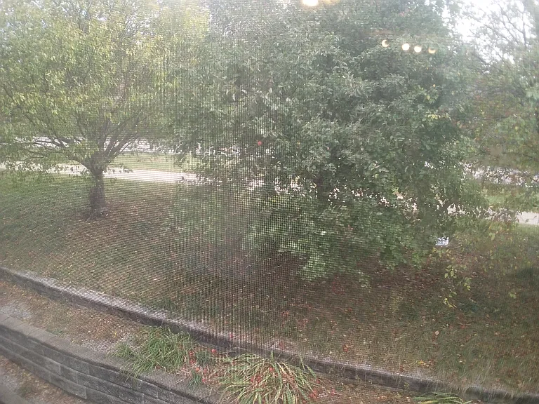 Scott Ct — Photo 11