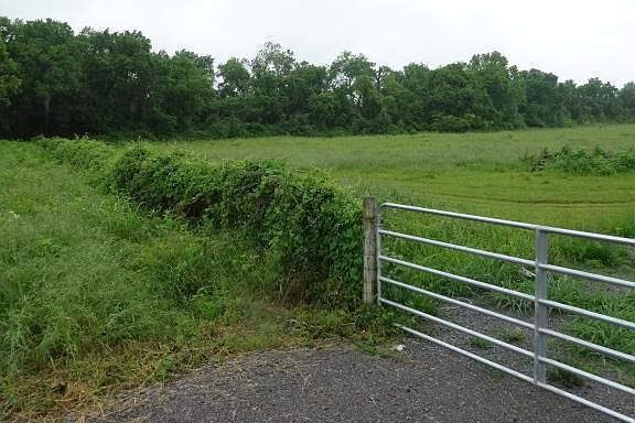 5th image of 338 One Mile Ln