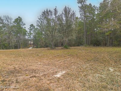 Alcede Lizana Rd, Gulfport, MS, 39503