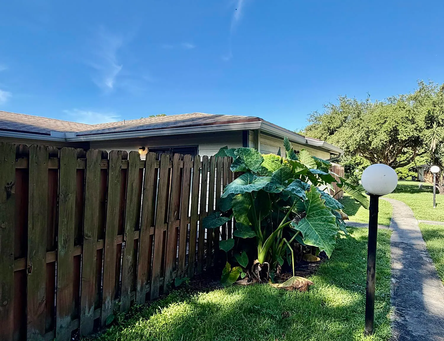1 bed, 1.0 bath, 551 sqft, $1,500 — Photo 2