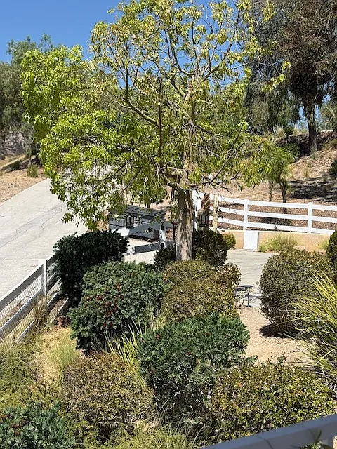 4 bed, 3.5 bath, 2000 sqft, $3,799 — Photo 4