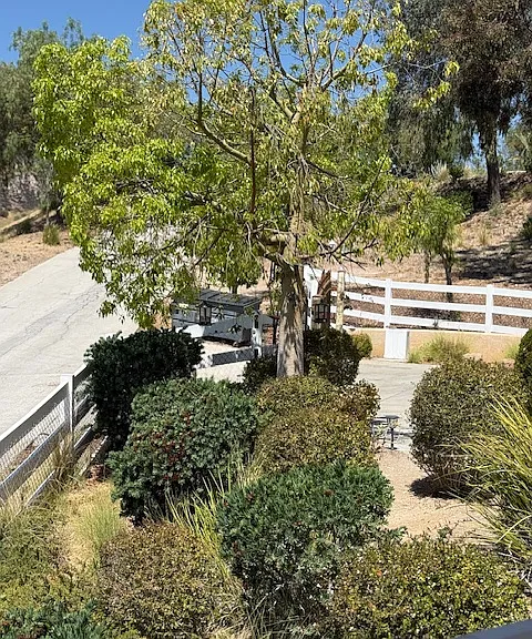 31325 Sloan Canyon Rd — Photo 4
