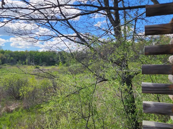 12 Mile Rd, Ceresco, MI 49033