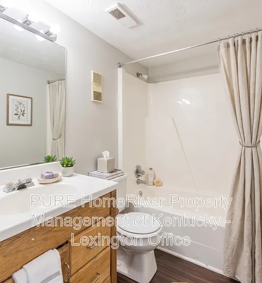 311 Christy Allyn Ct #3 — Photo 10