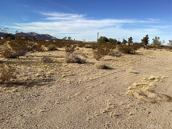 5th image of 42979 Mandril St Lot 140