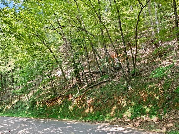 5th image of 37 Petit Ridge Dr Lot 37