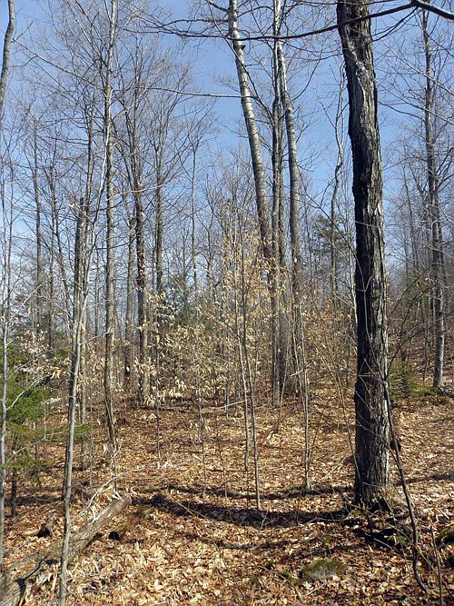 1st image of 01 Harris Road