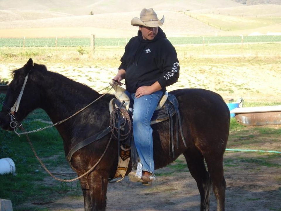 Horse Property /beautiful view