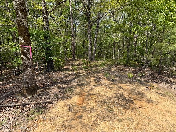 5th image of 3 Oak Creek Ln