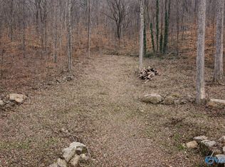 Wyeth Dr, Guntersville, AL 35976