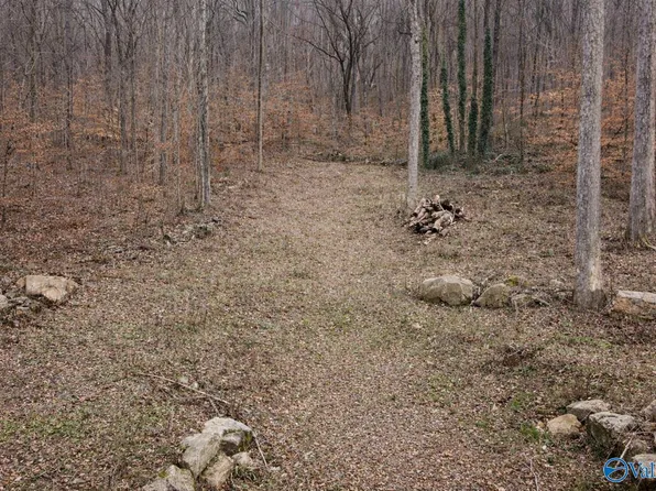 Wyeth Dr, Guntersville, AL 35976