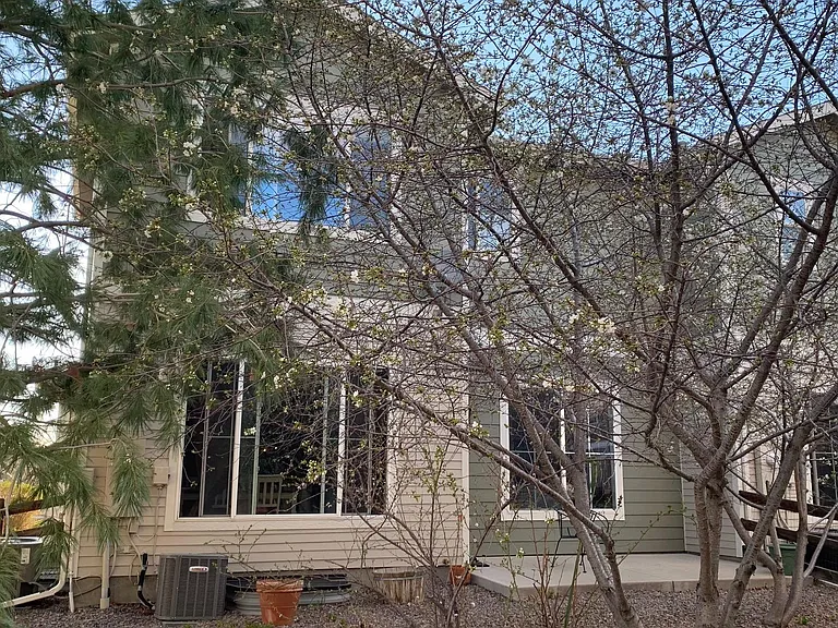 11808 E Maplewood Ave — Photo 5