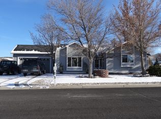 313 Cold Spring Way, Carson City, NV 89701