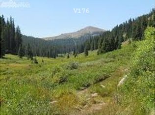 5358 Doe Valley Rd, Guffey, CO 80820