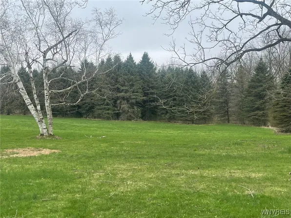 1066 Meiser Rd #3, Corfu, NY 14036