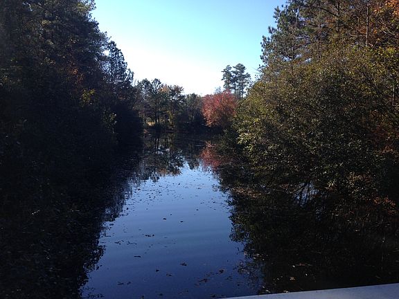 Pond