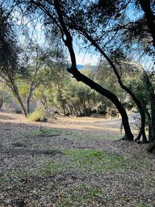0 Sunset Dr, Coarsegold, CA, 93614