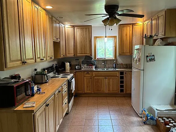 12622 Upper South Branch Rd, Franklin, WV 26807