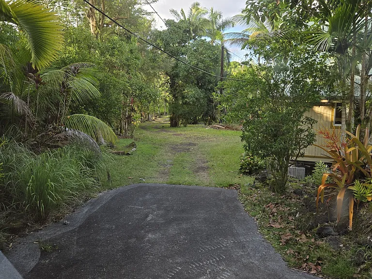 Looking down the driveway from your window.