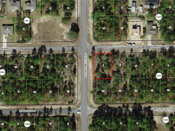 2734 W Arbutus Dr, Citrus Springs, FL 34433