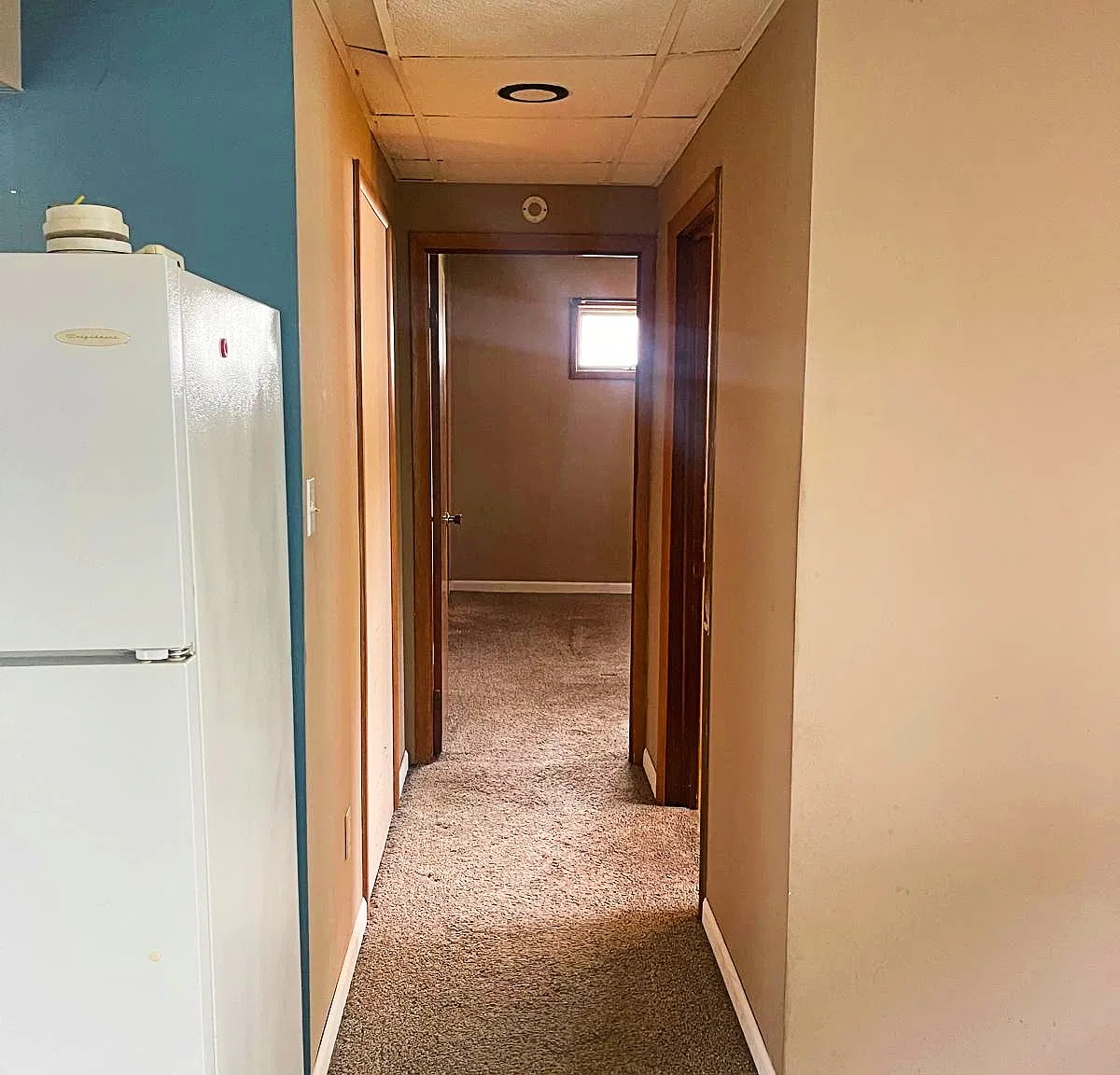 1 bed, 700 sqft, $800 — Photo 4