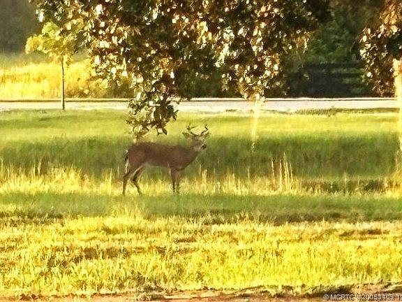 51st image of this home