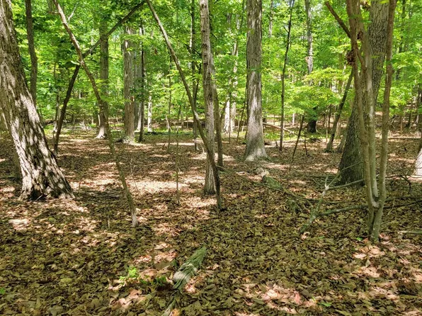 3 Fairway Dr, Palmyra, VA 22963