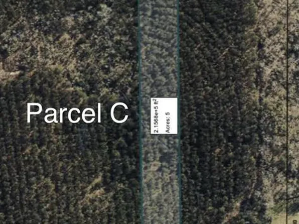 0 County Road 2270 Parcel C & D, Troy, AL 36079