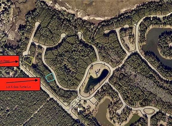 4th image of 5 Sea Turtle Ln