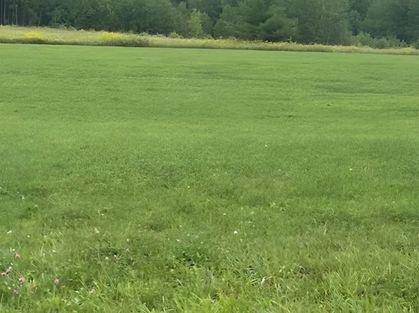 29 Pittman Rd, Lisle, NY 13797