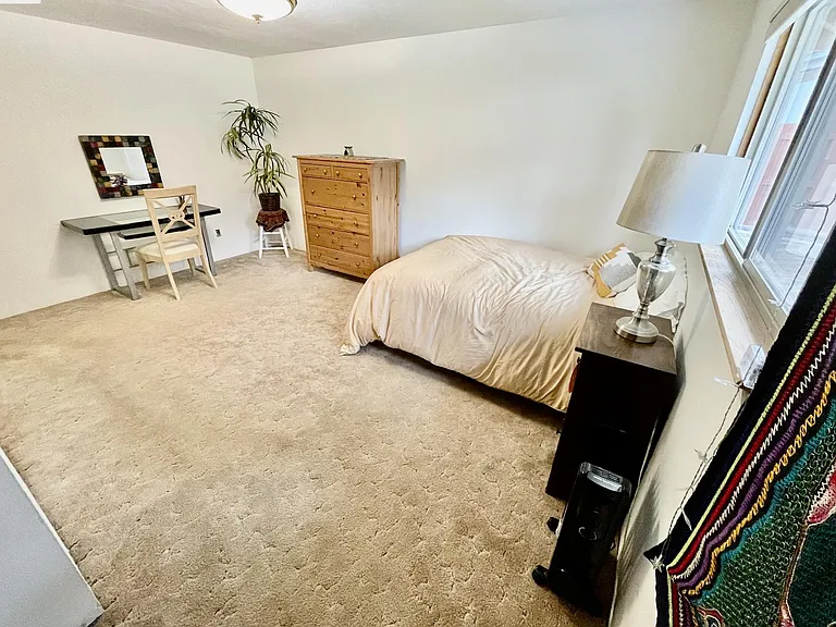 20292 Silver Sage St — Photo 19