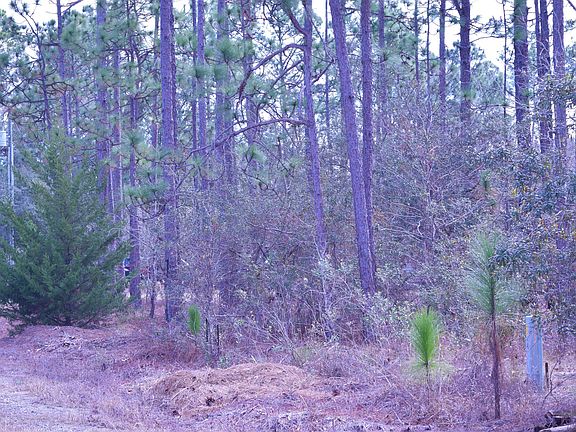 5th image of Lot 10 Sanford Road LOT 10