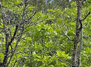 141 Big Canyon Point, Ridgway, CO 81432