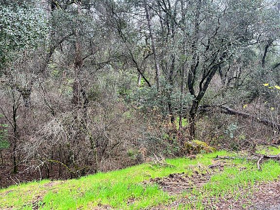 3rd image of 12215 Mountain View Drive