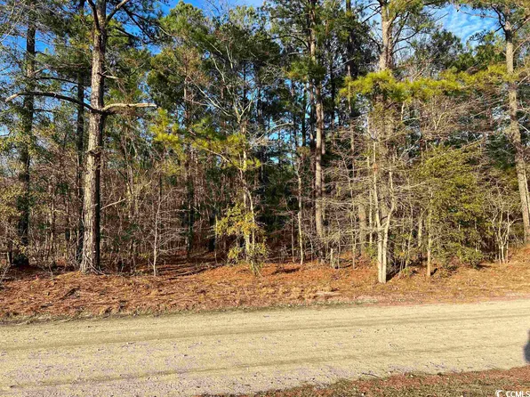 TBD Sheppard Ct., Mullins, SC 29574