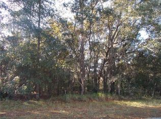 1244 W Pearson St, Hernando, FL 34442