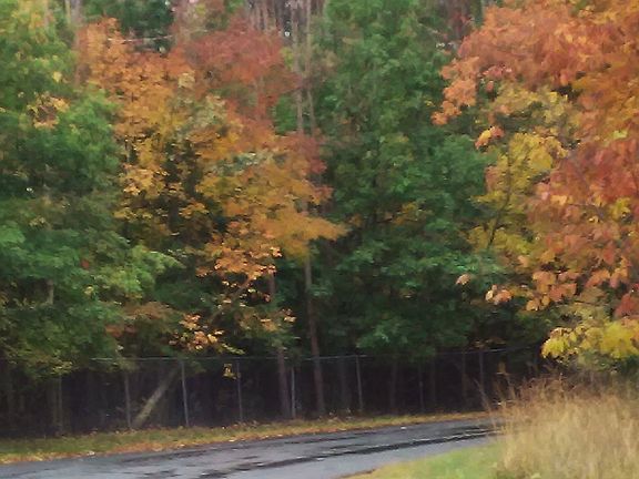 Along route to building lot.