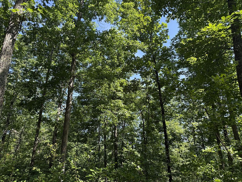 1st image of 0A Black Bear Trail Rd