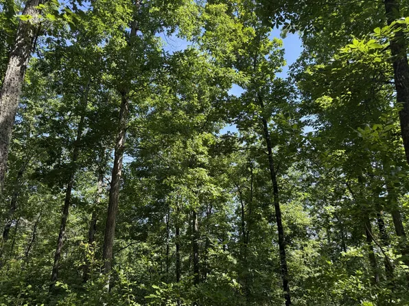 0A Black Bear Trail Rd, Linden, TN 37096