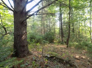 LOT 68 W Cedar Lake Rd, Greenbush, MI 48738