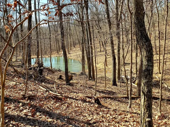 Blackbird Ct, Cross Junction, VA 22625