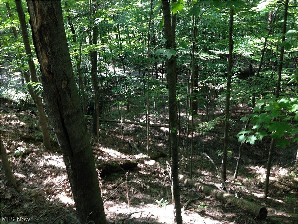 2nd image of Marks Rd